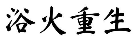 Chinese tattoo design: 浴火重生 (Survivor) in brush style, simplified Chinese