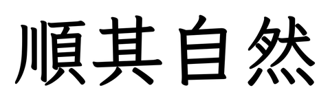 Chinese tattoo design: 順其自然 (Let it be) in kai calligraphy, traditional Chinese